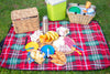 Picnic Blanket with Food