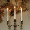 Taper Candlesticks on candelabra