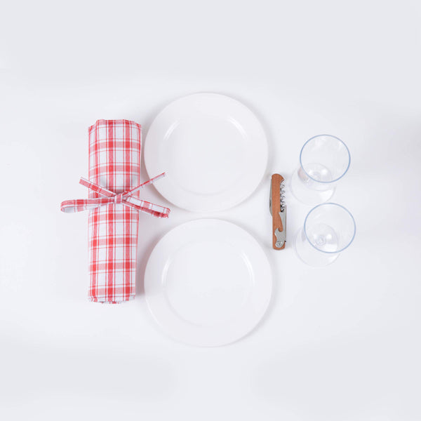 picnic plates and rolled up red and white blanket