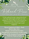 Soap & Paper Factory Roland Pine 18 oz Three-Wick Soy Candle