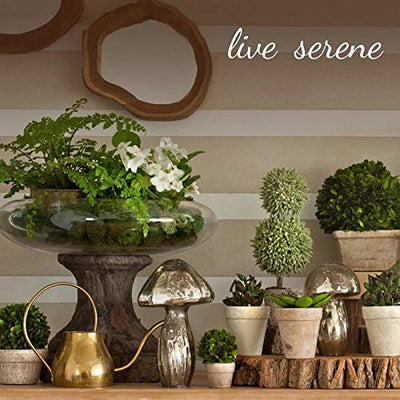 Serene Spaces Living Set of 12 Clear Glass Candle Holder, Decorative Slim Ribbed Votive Holder Centerpiece for Wedding, Christmas, Thanksgiving, Living Room, Home Décor, 2.25" Diameter & 6.25" Tall