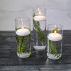 36 Eastland Cylinder Vases and 36 White 3" Richland Floating Candles