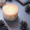 Soap & Paper Factory Roland Pine 18 oz Three-Wick Soy Candle