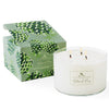 Soap & Paper Factory Roland Pine 18 oz Three-Wick Soy Candle