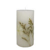 3" x 6" Vanilla & Amber Scented Pillar Candle by Ashland - Scented Candle for Home, Bathroom, and Office - 1 Pack