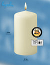 HYOOLA Ivory Pillar Candles 2-inch x 4-inch - 24 Pack Unscented Bulk Pillar Candles - European Made