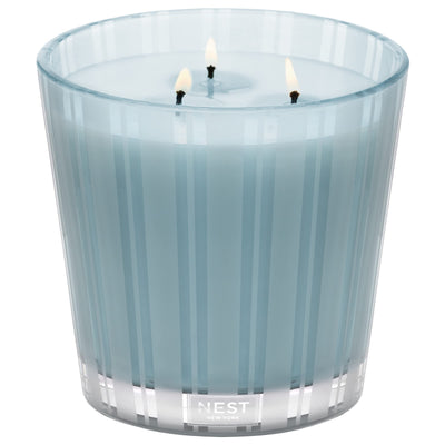 NEST New York Driftwood & Chamomile Scented 3-Wick Candle
