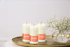 BOLSIUS 4 Pack Ivory Rustic Pillar Candles - 2 X 4 Inches - Premium European Quality - Includes Natural Plant-Based Wax - Unscented Dripless Smokeless 30 Hour Party Décor and Wedding Candles