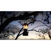 Coleman Powerhouse Dual Fuel Lantern Shines up to 800 Lumens, 2-Mantle Lantern Uses Coleman Liquid Fuel or Gasoline with Adjustable Brightness, Carry Handle, Mantles, & Funnel Included