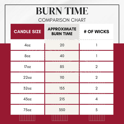 Circle E Candles, Bird of Paradise Scent, Medium Size Jar Candle, 22oz, 2 Wicks