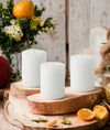 Mister Candle - 3 inch by 4 inch Tall Citronella Scented Pillar Candles (Set of 3) - Indoor & Outdoor Use