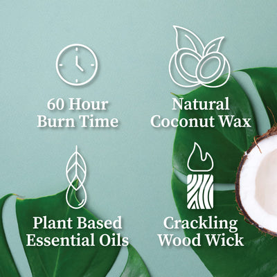 Hemlock Park Crackling Wood Wick Candle Handcrafted with Natural Coconut Wax and Essential Oils (Lily of The Valley, Standard 8 oz)