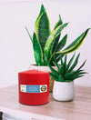 Hyoola Red Three Wick Large Candle - 6 x 6 Inch - Unscented Big Pillar Candles - 146 Hour - European Made