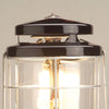 Coleman NorthStar 1500 Lumens 1-Mantle Propane Lantern, Push-Button Instastart Ignition with Pressure Regulator and Mantle Included, Great for Camping, Power Outage, Emergencies, & Home Use