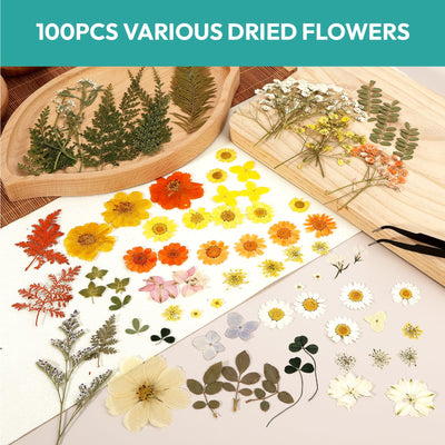 Resiners 100Pcs Dried Pressed Flowers for Resin Molds, Yellow Real Natural Dried Flowers Dry Leaves kit for Scrapbook Supplies Card Making Resin Jewelry Making Soap Candle DIY Crafts
