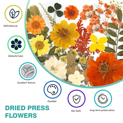 Resiners 100Pcs Dried Pressed Flowers for Resin Molds, Yellow Real Natural Dried Flowers Dry Leaves kit for Scrapbook Supplies Card Making Resin Jewelry Making Soap Candle DIY Crafts