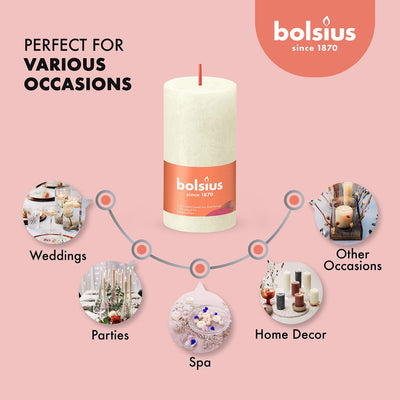 BOLSIUS 4 Pack Ivory Rustic Pillar Candles - 2 X 4 Inches - Premium European Quality - Includes Natural Plant-Based Wax - Unscented Dripless Smokeless 30 Hour Party Décor and Wedding Candles