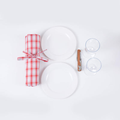 picnic plates and rolled up red and white blanket