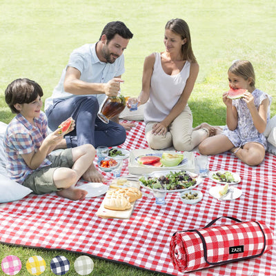 red and white checkered picnic blanket on grass with food 
