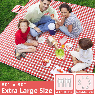 red checkered picnic blanket with family